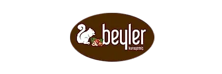 beyler kuruyemis İzmir Böcek İlaçlama - Kozalı Haşere İlaçlama Böcek İlaçlama İzmir