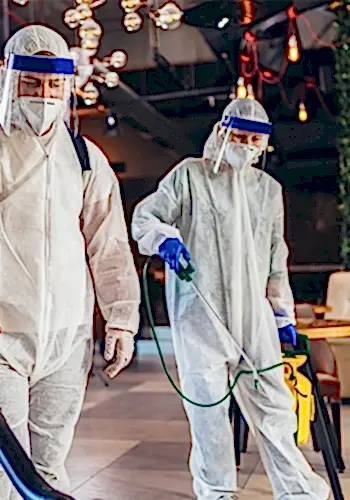 Restoran Kafe İlaçlama - Haşere & Böcek İlaçlama