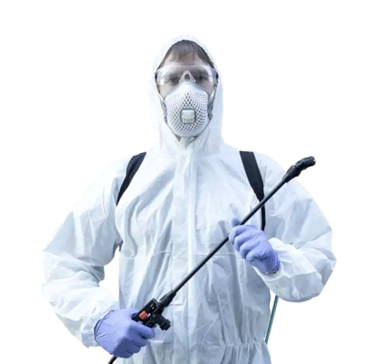 kozali ilaclama e1679512040807 İzmir Böcek İlaçlama - Kozalı Haşere İlaçlama Böcek İlaçlama İzmir