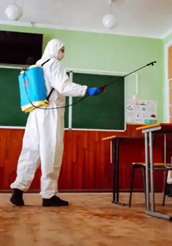 Okul İlaçlama - Haşere & Böcek İlaçlama