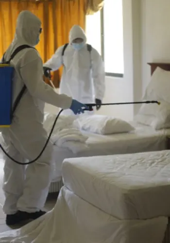 Otel İlaçlama - Haşere & Böcek İlaçlama